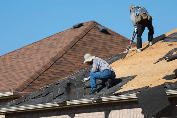 Professional Roofing service in Chesapeake, VA